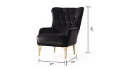 Lust Modern Style Chair in Black